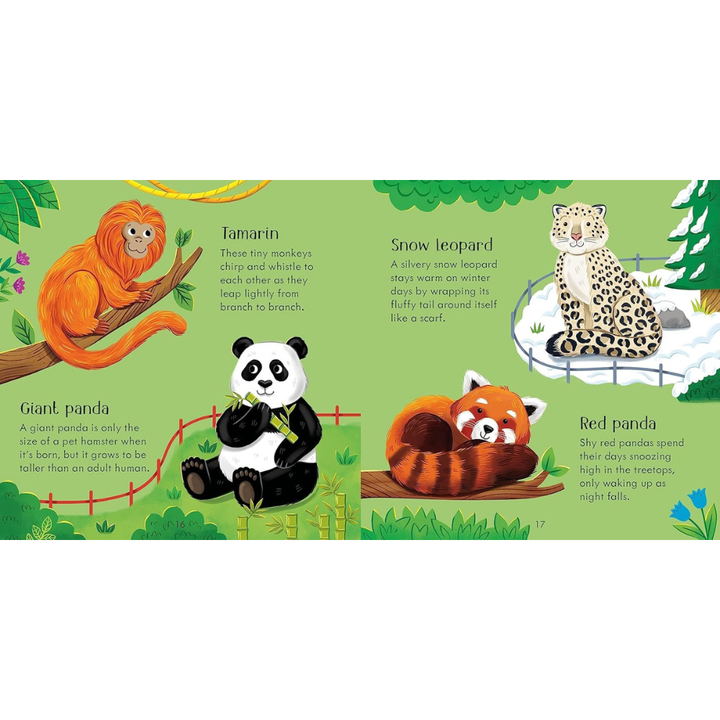 Jeu de mémoire + livre – Animaux du zoo – dès 3 ans (Anglais) - 6 - Eveil Montessori Maroc