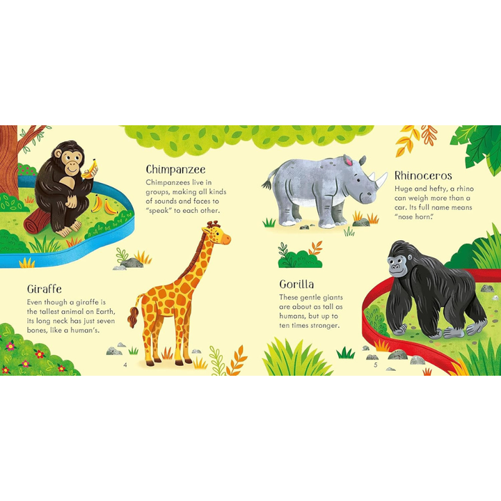 Jeu de mémoire + livre – Animaux du zoo – dès 3 ans (Anglais) - 7 - Eveil Montessori Maroc