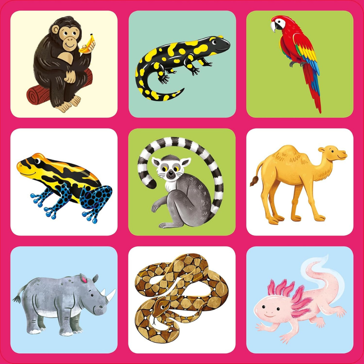 Jeu de mémoire + livre – Animaux du zoo – dès 3 ans (Anglais) - 2 - Eveil Montessori Maroc
