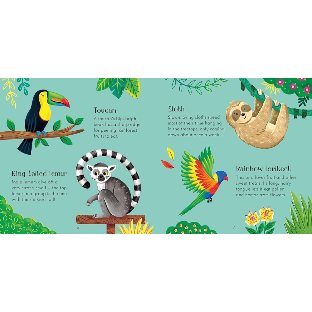 Jeu de mémoire + livre – Animaux du zoo – dès 3 ans (Anglais) - 8 - Eveil Montessori Maroc