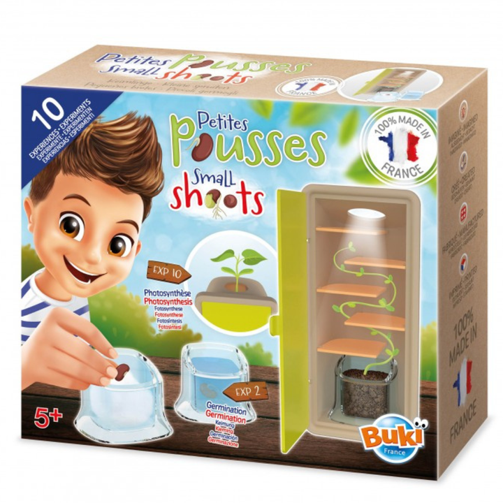 Petites Pousses Découverte des Graines - 1 - Eveil Montessori Maroc