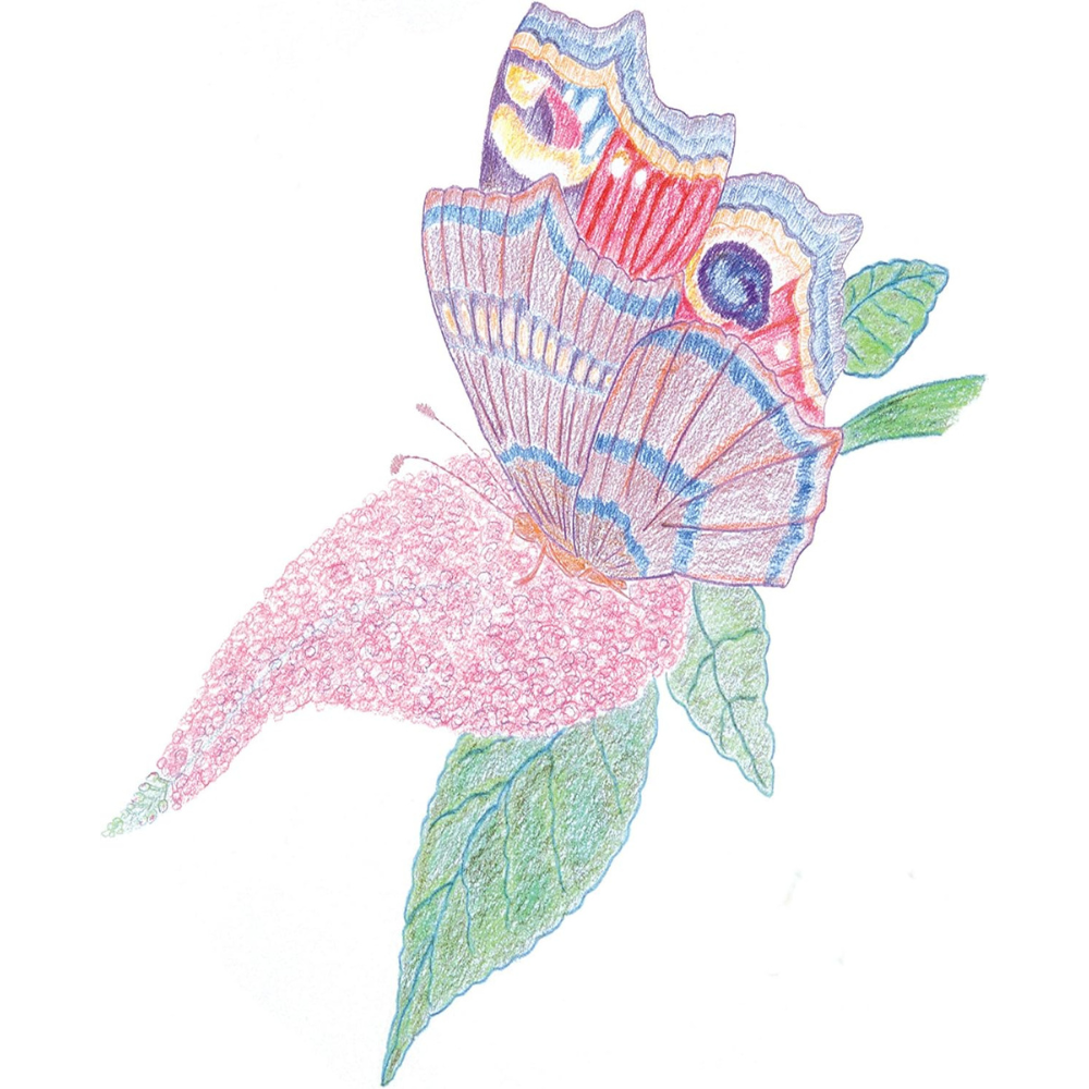 Pot De 84 Crayons De Couleur - 5 - Eveil Montessori Maroc