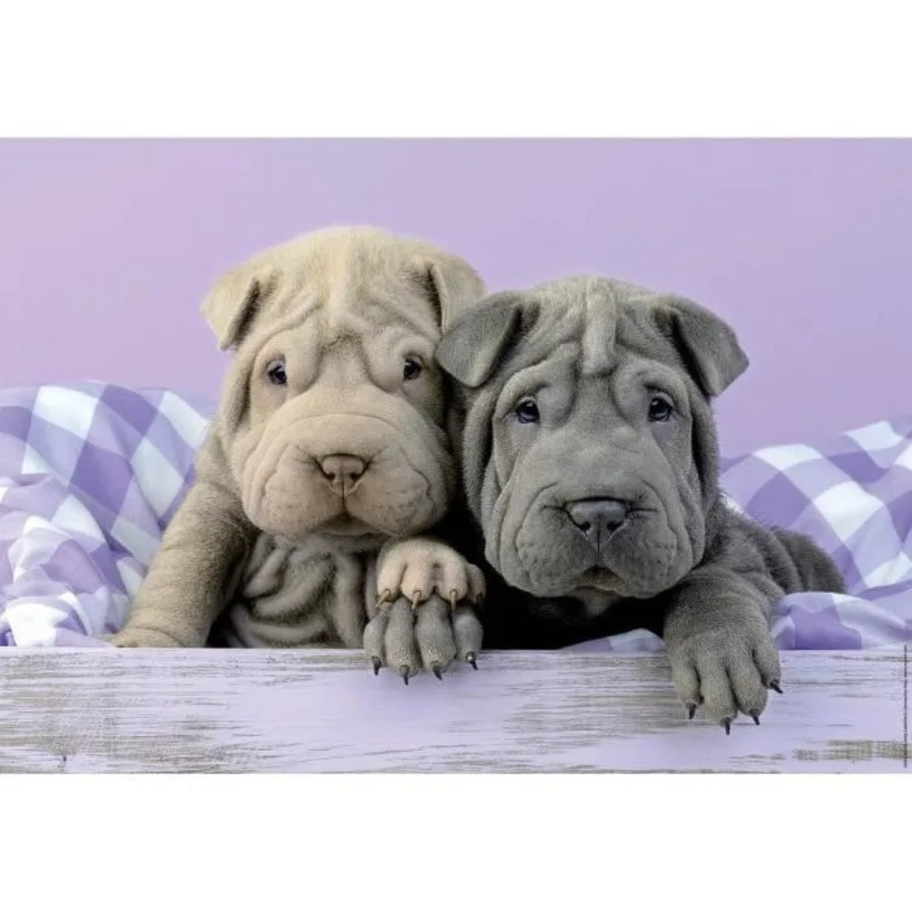 Puzzle 100 pièces - Petits chiots