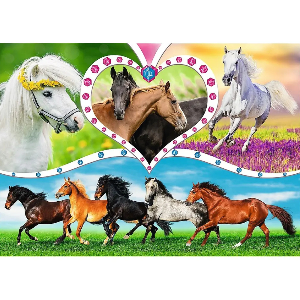Puzzle Chevaux Magnifiques 200 Pièces