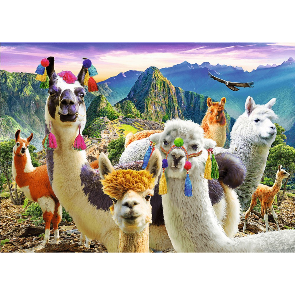 Puzzle Lamas dans les montagnes - 500 Pièces - 1 - Eveil Montessori Maroc