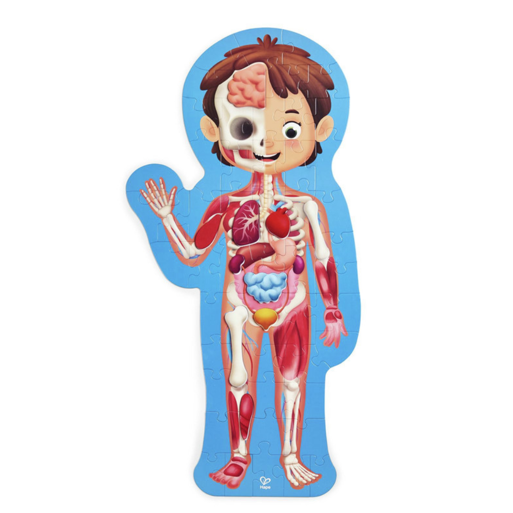 Puzzle corps humain