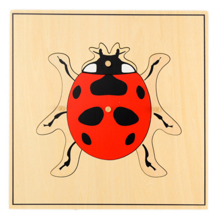 Puzzle de la coccinelle
