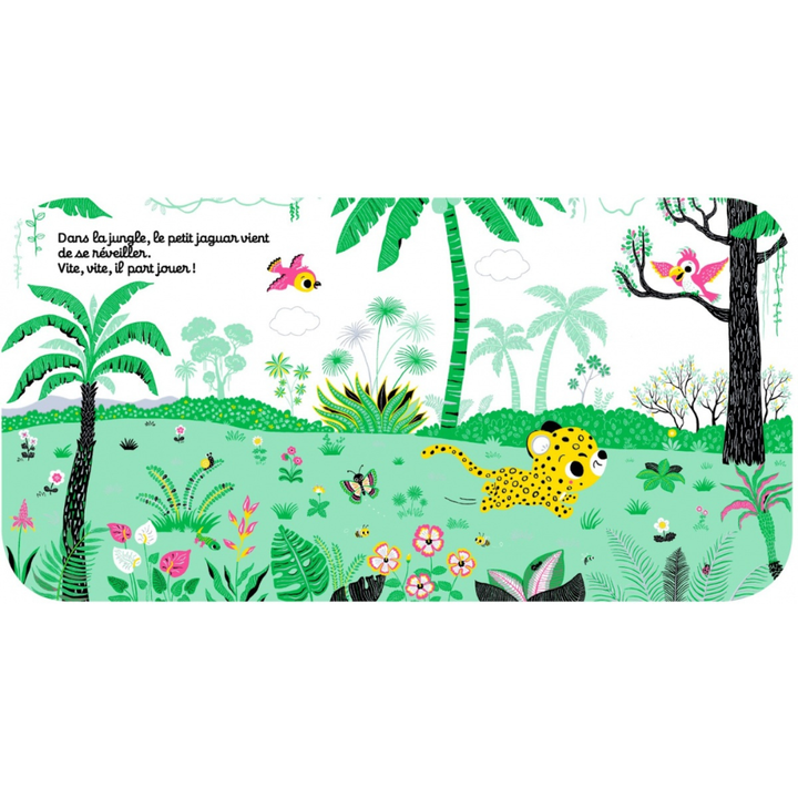 Regarde dans la jungle - Livre d'éveil à toucher pour les bébés, dès 6 mois - 2 - Eveil Montessori Maroc