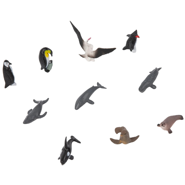 Set d'Animaux des 7 Continents - 8 - Eveil Montessori Maroc