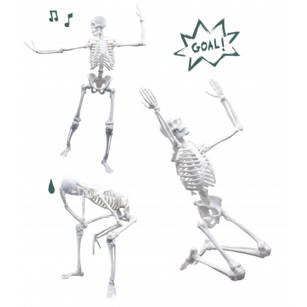 Squelette 45 cm