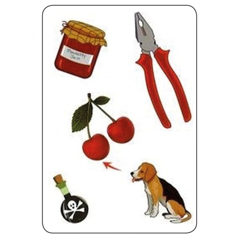 Tam Tam Safari : CE1 niveau 1