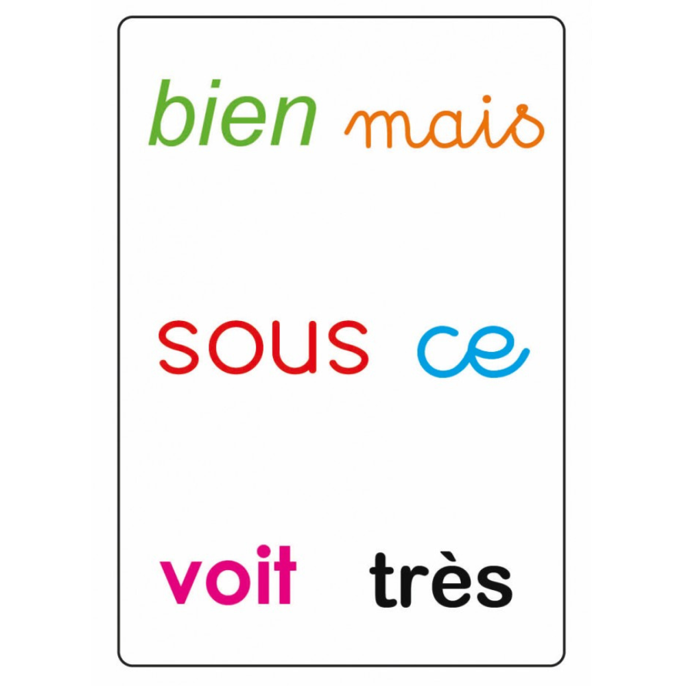 Tam Tam safari : Les mots-outils du CP