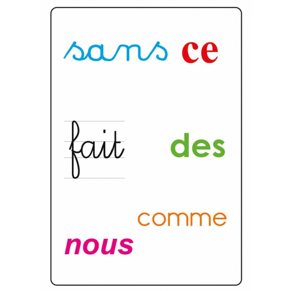 Tam Tam safari : Les mots-outils du CP