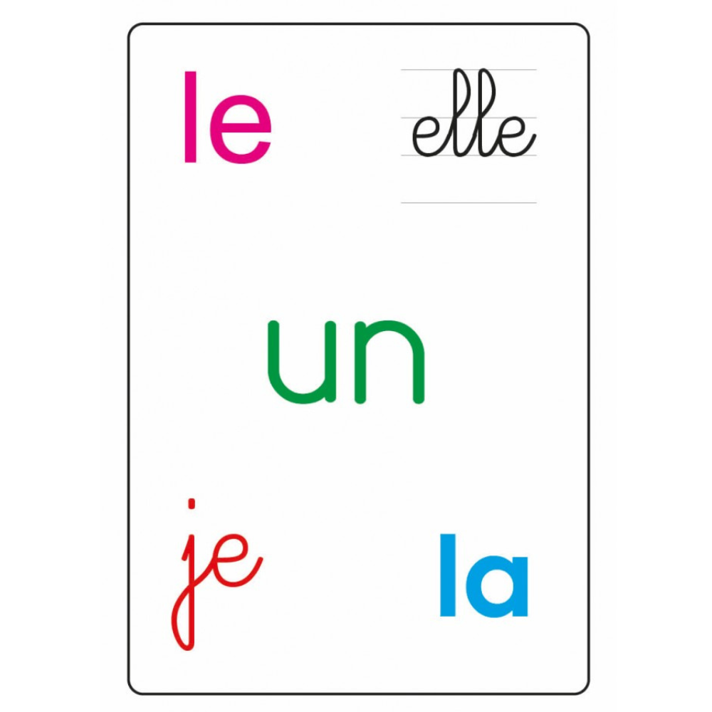 Tam Tam safari : Les mots-outils du CP