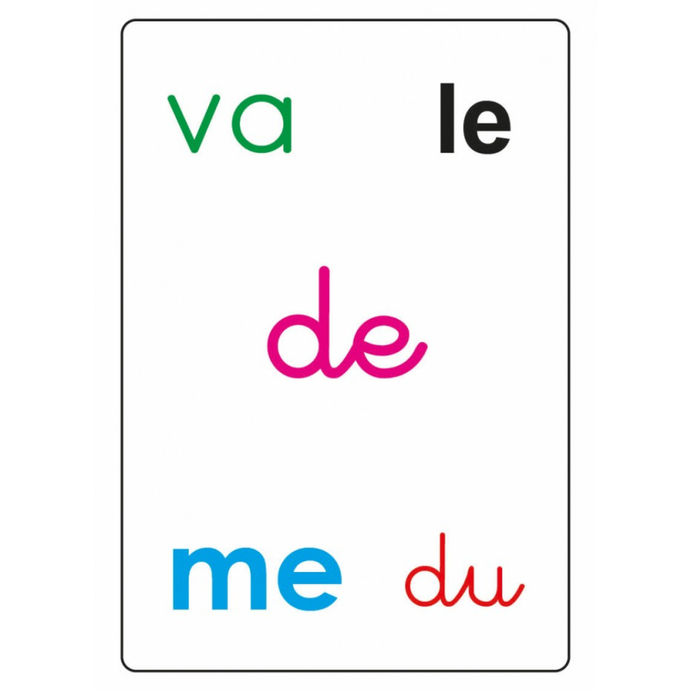 Tam Tam safari : Les mots-outils du CP