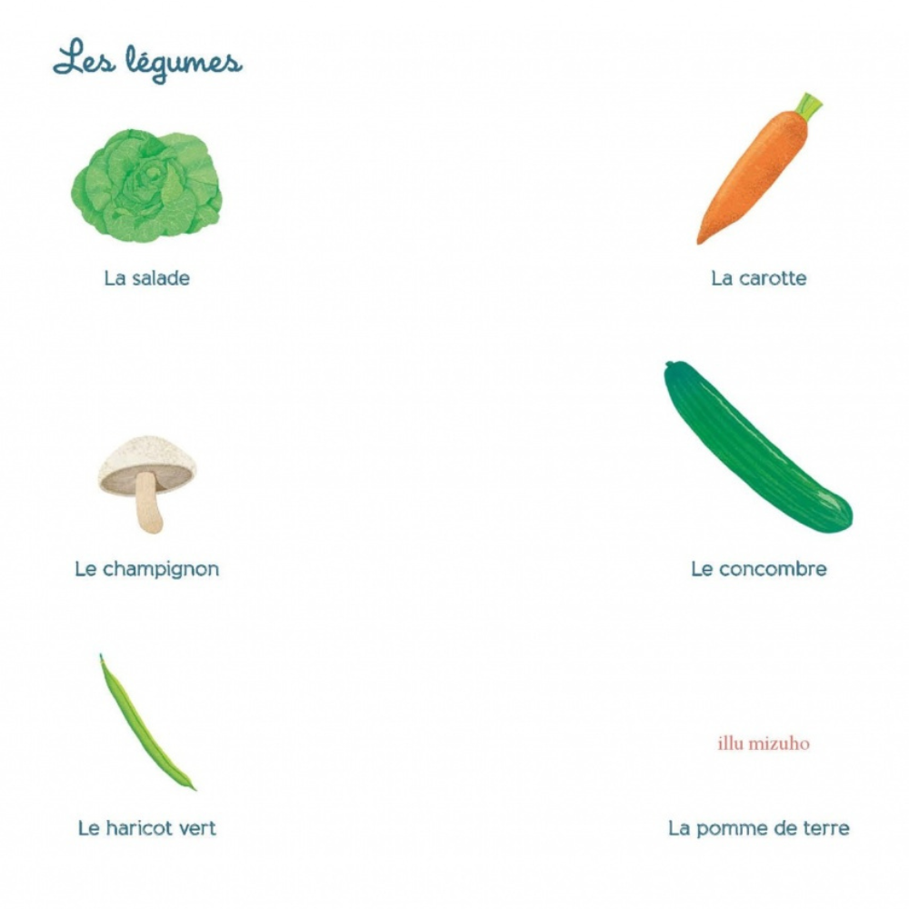 Tout-petit Montessori - Mon premier imagier - Dès 12 mois