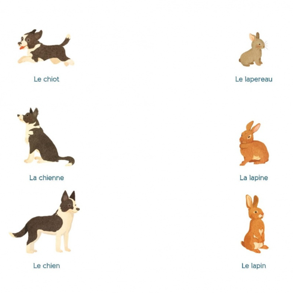 Tout-petit Montessori - Mon premier imagier - Dès 12 mois