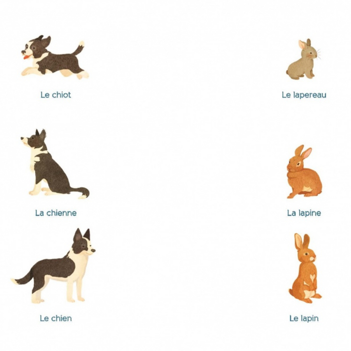 Tout-petit Montessori - Mon premier imagier - Dès 12 mois