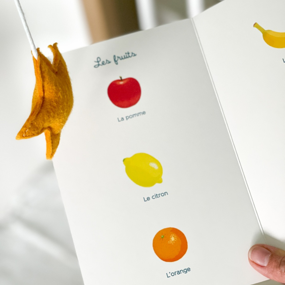 Tout-petit Montessori - Mon premier imagier - Dès 12 mois