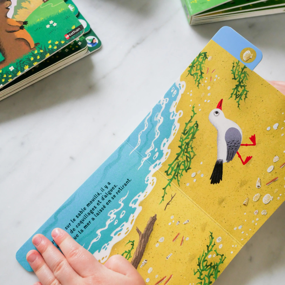 Une journée à la mer - un livre à onglet pour explorer et découvrir la mer - dès 10 mois - 2 - Eveil Montessori Maroc