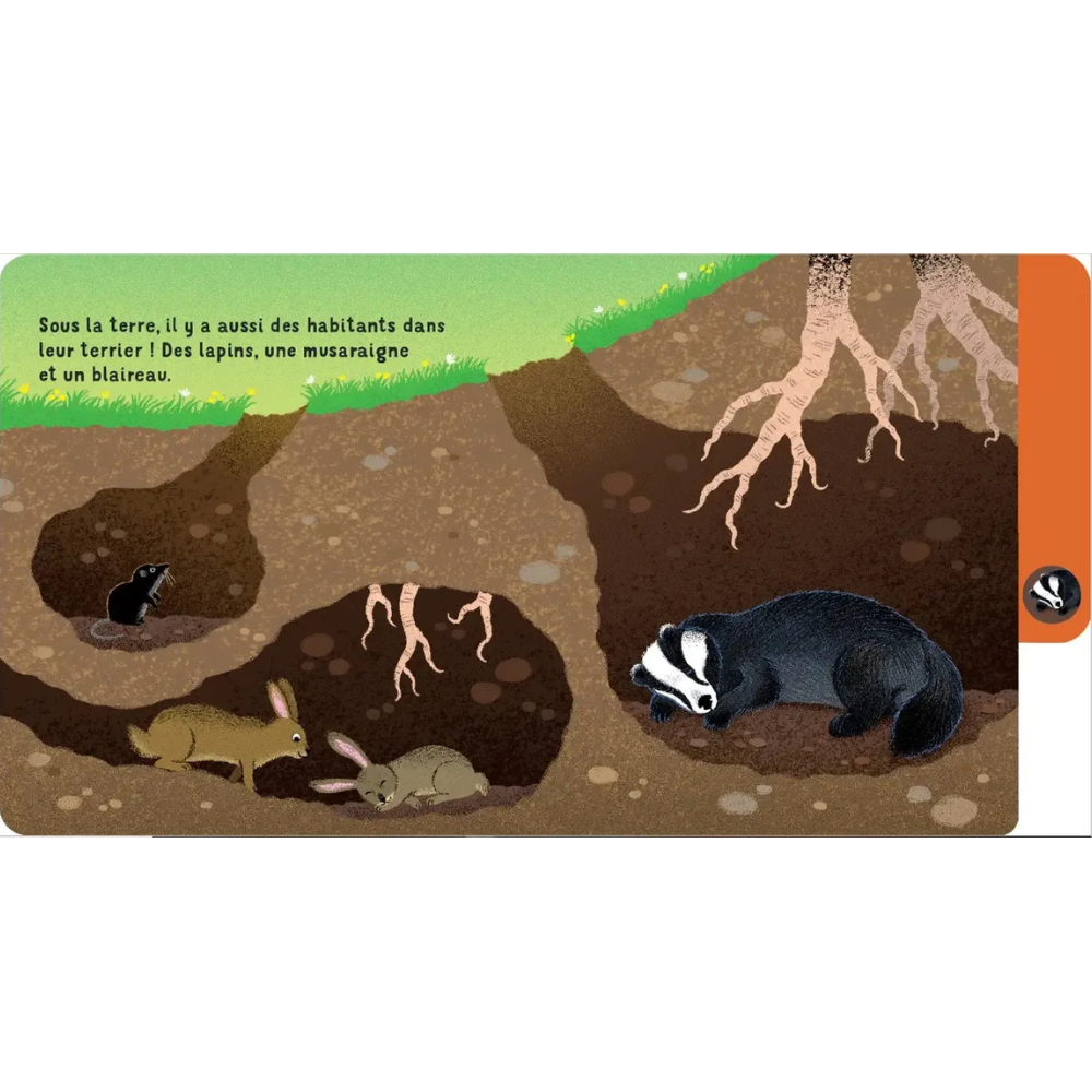 Une journée en forêt - un livre à onglets pour explorer et découvrir la forêt - dès 10 mois - 5 - Eveil Montessori Maroc