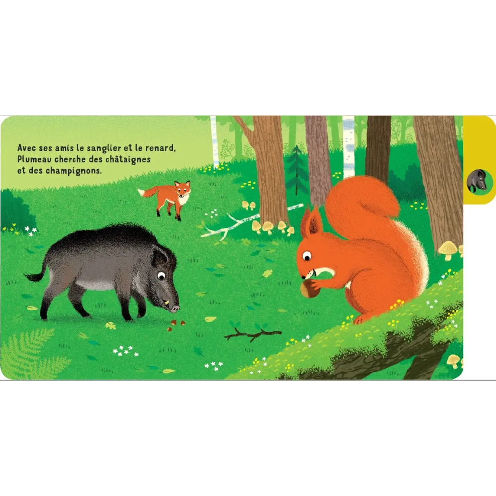Une journée en forêt - un livre à onglets pour explorer et découvrir la forêt - dès 10 mois - 3 - Eveil Montessori Maroc