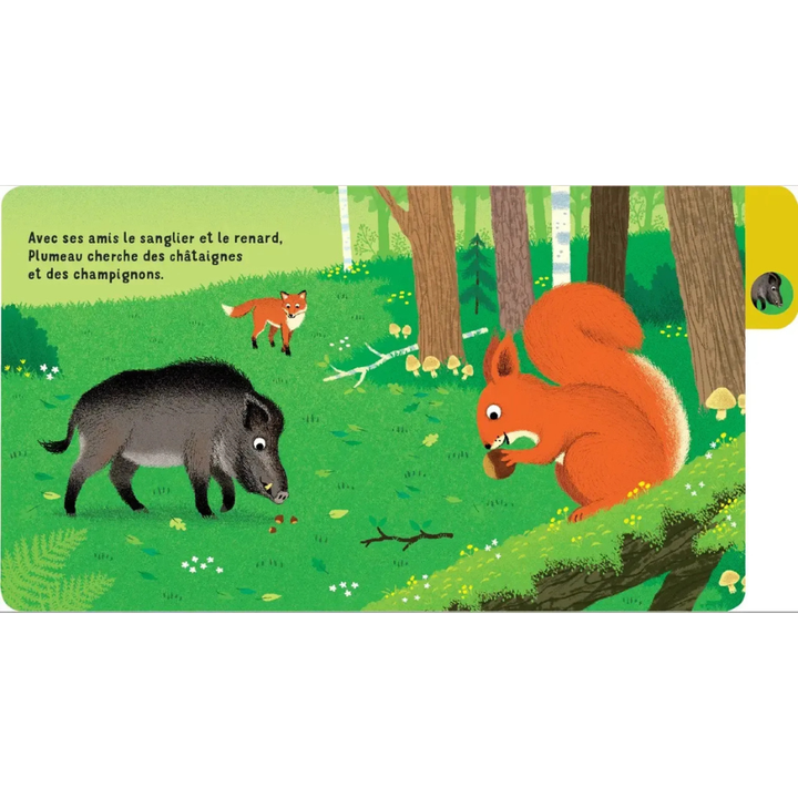 Une journée en forêt - un livre à onglets pour explorer et découvrir la forêt - dès 10 mois - 3 - Eveil Montessori Maroc
