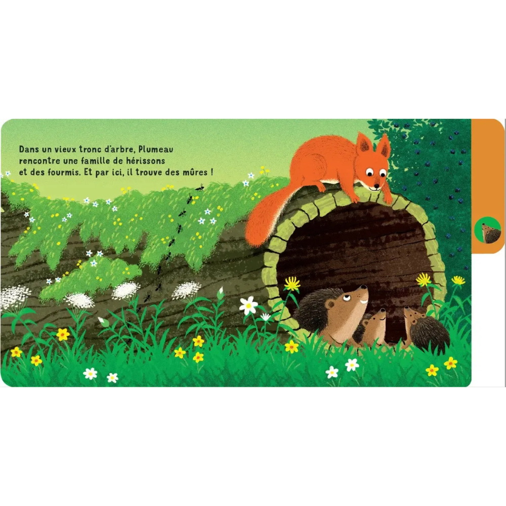 Une journée en forêt - un livre à onglets pour explorer et découvrir la forêt - dès 10 mois - 4 - Eveil Montessori Maroc