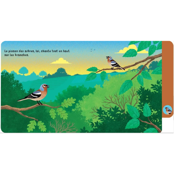 Une journée en forêt - un livre à onglets pour explorer et découvrir la forêt - dès 10 mois - 6 - Eveil Montessori Maroc