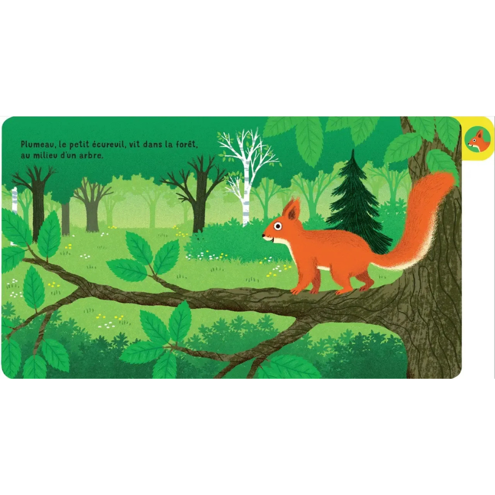Une journée en forêt - un livre à onglets pour explorer et découvrir la forêt - dès 10 mois - 2 - Eveil Montessori Maroc