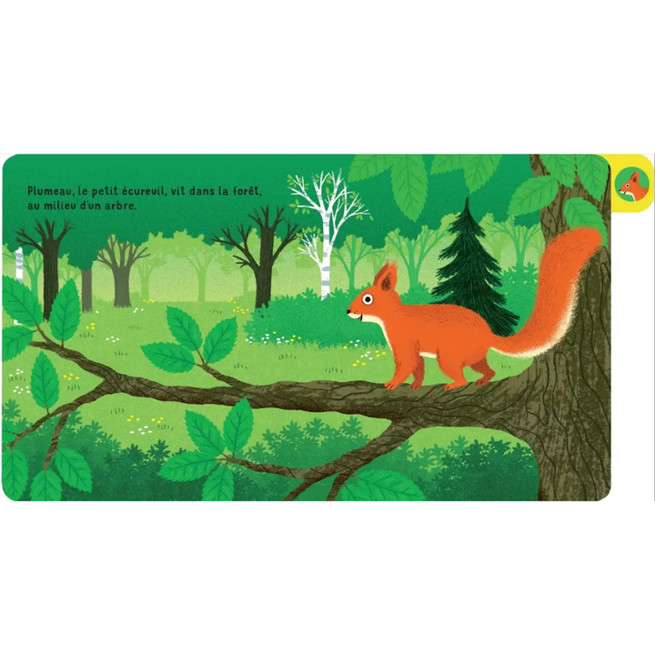 Une journée en forêt - un livre à onglets pour explorer et découvrir la forêt - dès 10 mois - 2 - Eveil Montessori Maroc