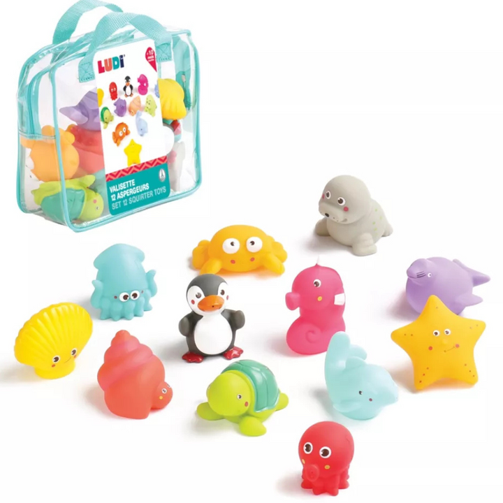 Valisette de 12 aspergeurs