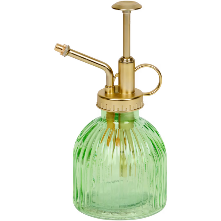 Vaporisateur pour plantes