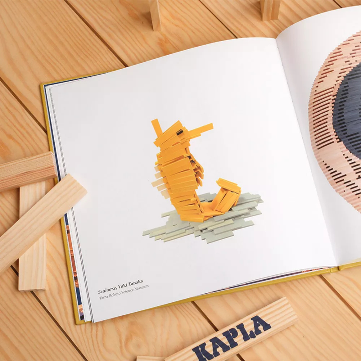 Livre - Le meilleur de kapla - 5 - Eveil Montessori Maroc
