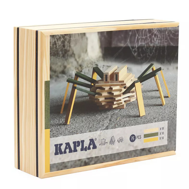 Kapla Araignée - 1 - Eveil Montessori Maroc