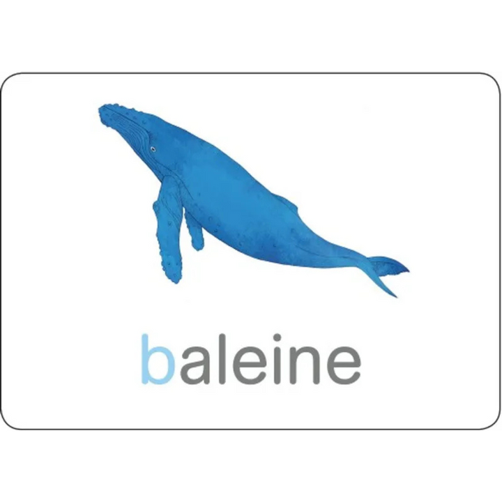 Mon coffret Montessori d'initiation à la lecture