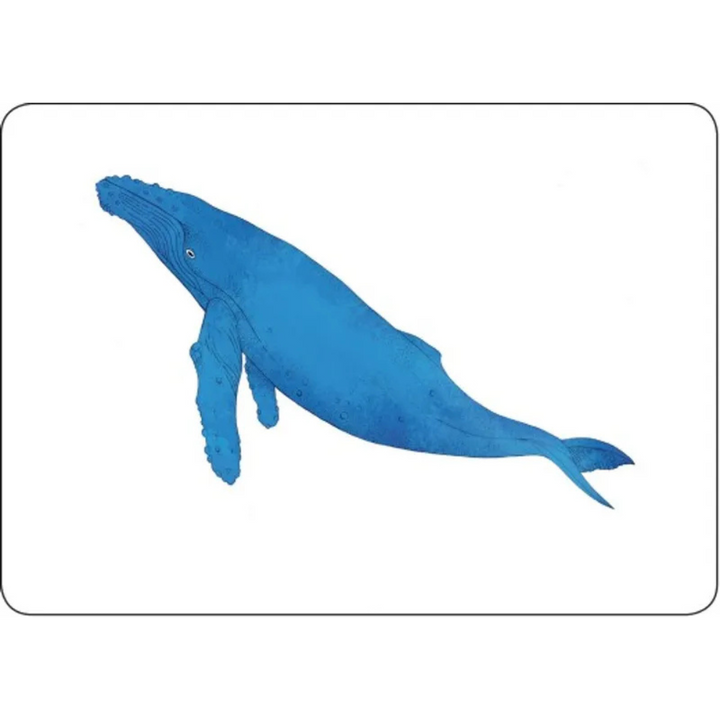 Mon coffret Montessori d'initiation à la lecture