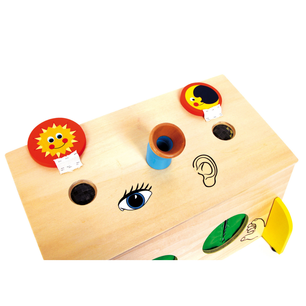 Grande Boîte tactile - Boite à mystère