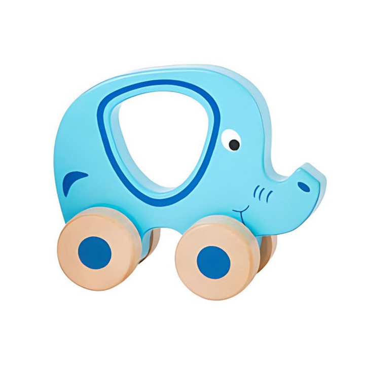 Jouets D'éveil sur Roues en Bois Robuste (Vendu à l'unité)