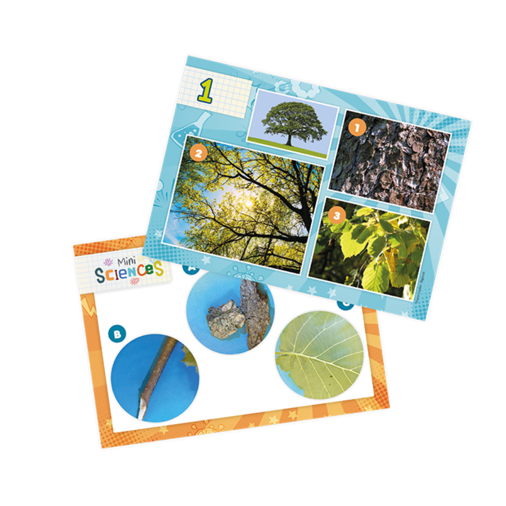 Mini Sciences - Microscope