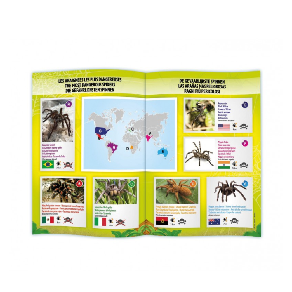 Mygale Radiocommandée