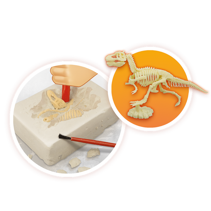 Volcans et Dinosaures - 4 - Eveil Montessori Maroc