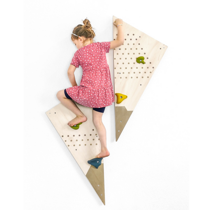 Mur d'escalade "Adventure"