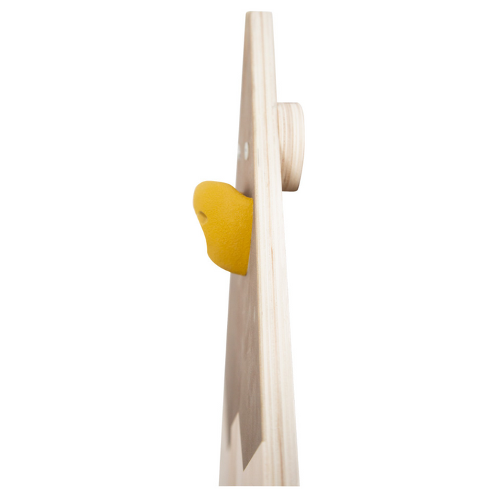 Mur d'escalade "Adventure"