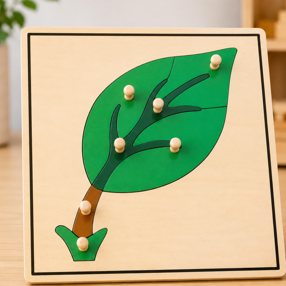 Puzzle de la feuille - 1 - Eveil Montessori Maroc