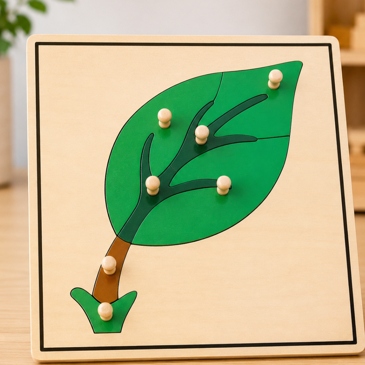 Puzzle de la feuille - 1 - Eveil Montessori Maroc