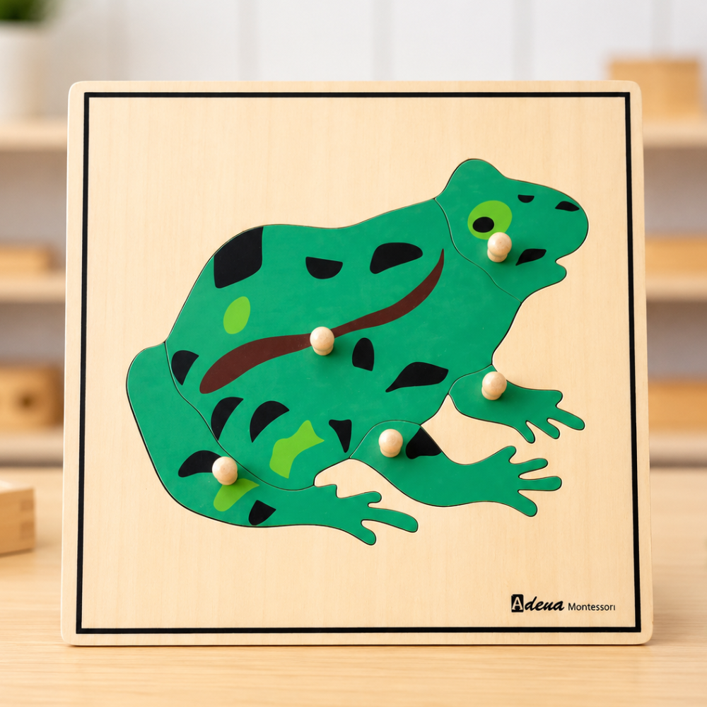 Puzzle Grenouille - 1 - Eveil Montessori Maroc