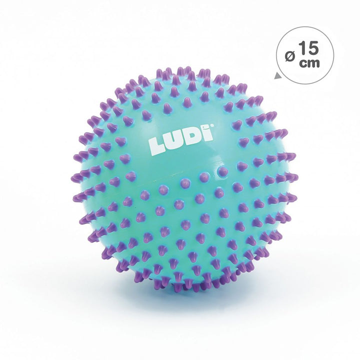 Balles hérissons Bicolores