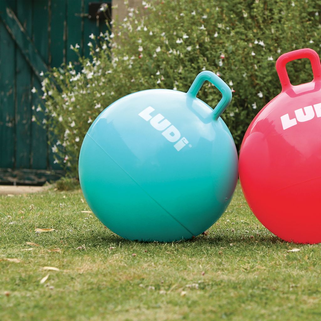 Ballon sauteur XXL - 55 cm - Bleu