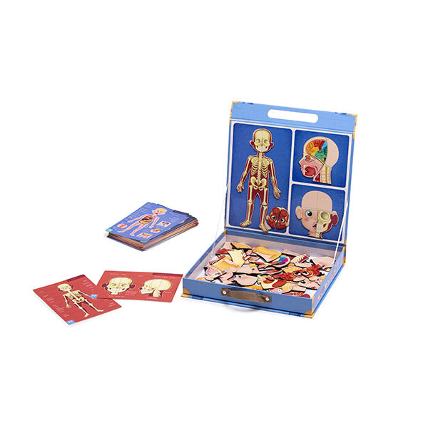 Corps humain magnétique multilingue